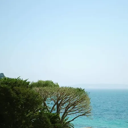 Cap Negre ル・ラヴァンドゥー