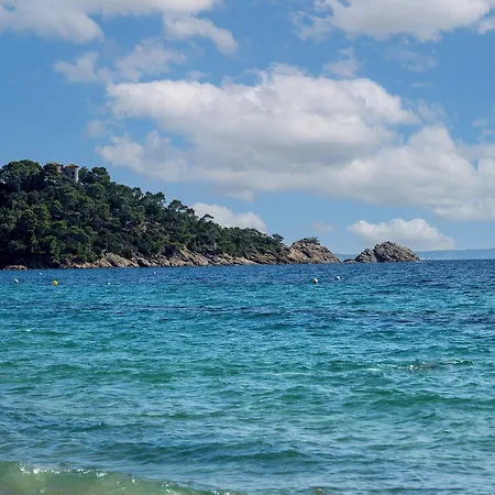 Cap Negre